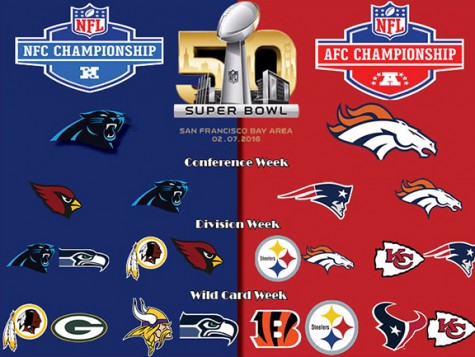 Panthers vs. Broncos: Super Bowl 50