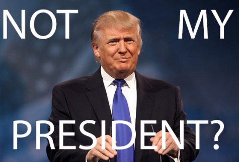 What do you mean ‘Trump isn’t my president’?