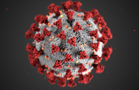 Third Wave of Coronavirus Strikes