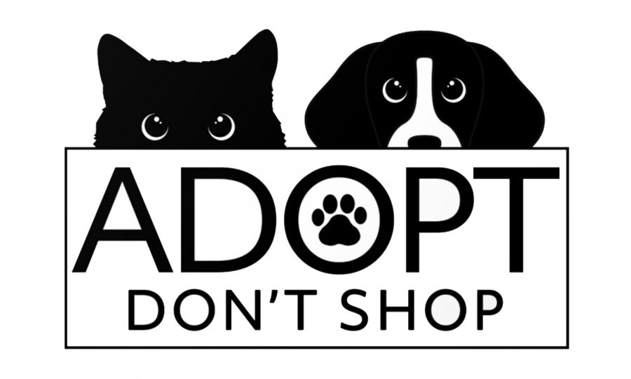 Adopt, Dont Shop