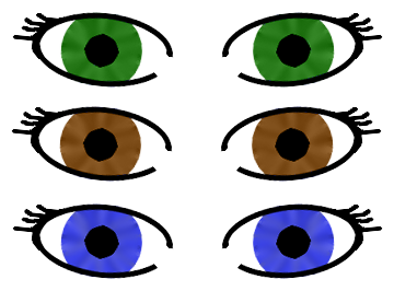 Can Your Eye Color Predict Your Personality?