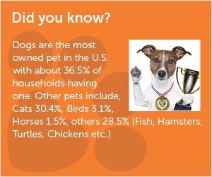 fun facts about dogs