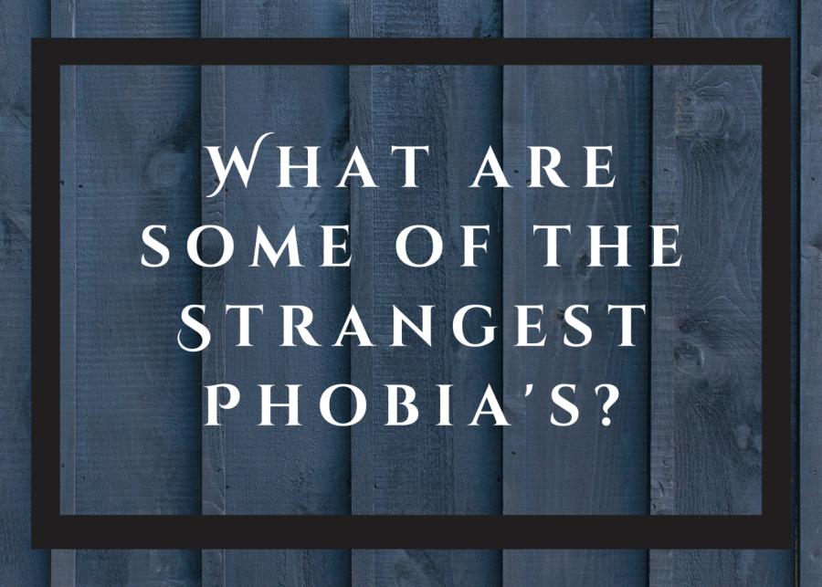 What are the strangest phobias?