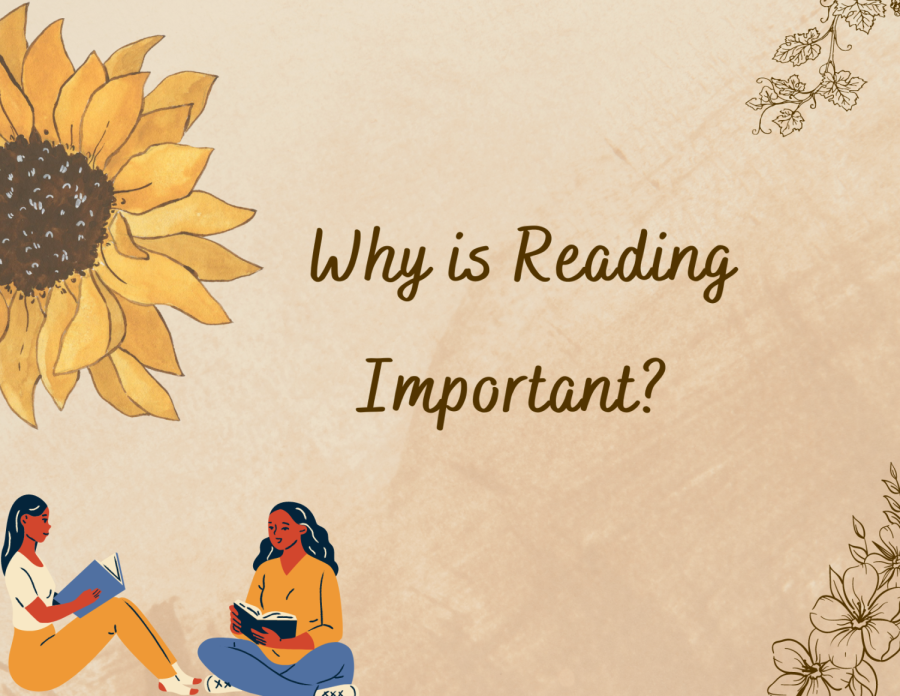 Why+is+Reading+Important%3F