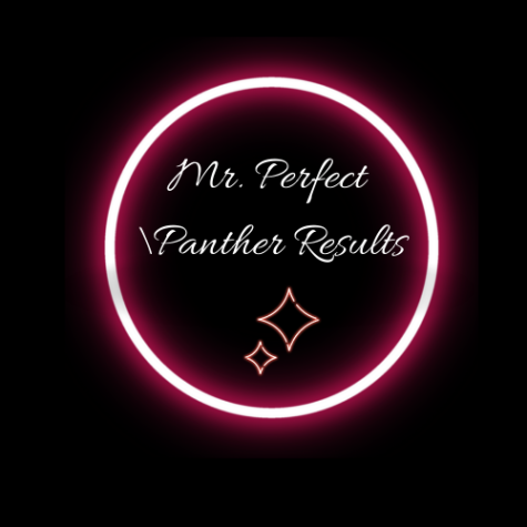 Mr Perfect Panther Summary