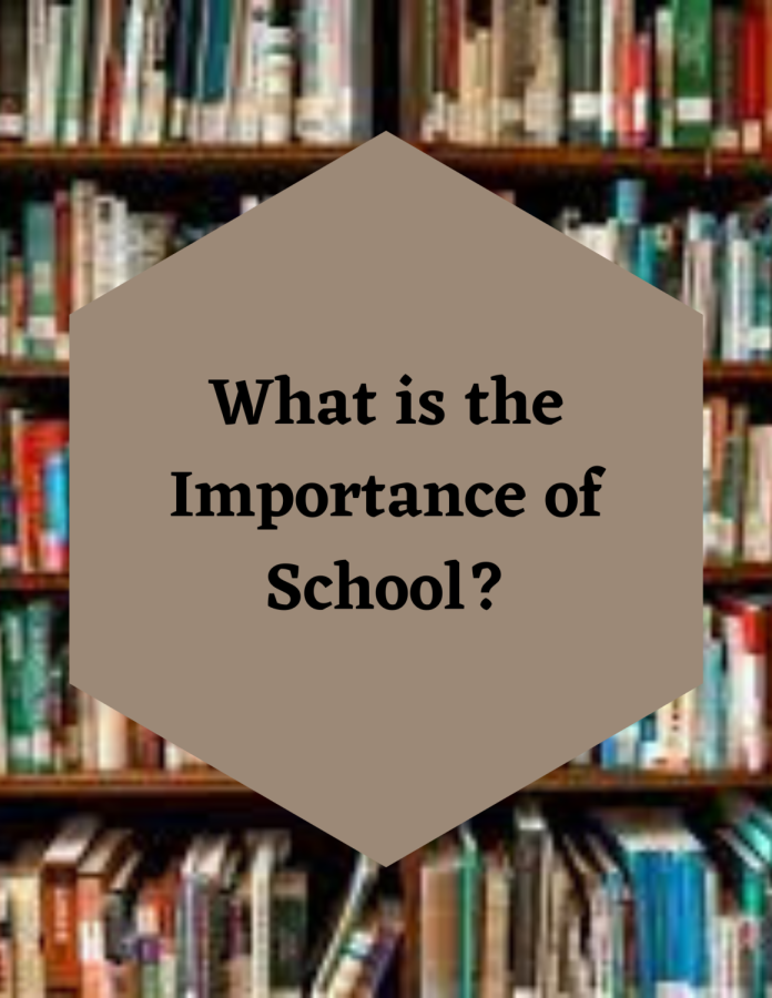 The+Importance+of+School